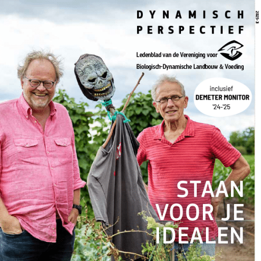 4070 DP2025 3 1190x595