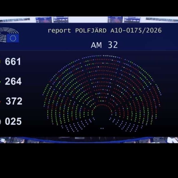 Europees parlement stemming