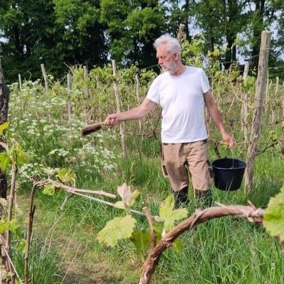 Biodyneren Preparaat Marteniek Wijnburcht Mei2024 800x400